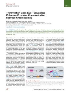 Transvection-Goes-Live-Visualizing-Enhancer-Promoter-Communic_2018_Molecular