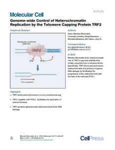 Genome-wide-Control-of-Heterochromatin-Replication-by-the-Tel_2018_Molecular