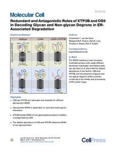Redundant-and-Antagonistic-Roles-of-XTP3B-and-OS9-in-Decoding-G_2018_Molecul