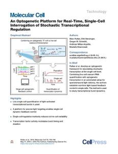 An-Optogenetic-Platform-for-Real-Time--Single-Cell-Interrogati_2018_Molecula