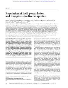 Genes Dev.-2018-Conrad-602-19-Regulation of lipid peroxidation and ferroptosis in diverse species
