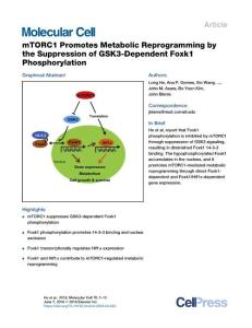 mTORC1-Promotes-Metabolic-Reprogramming-by-the-Suppression-of-_2018_Molecula