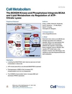 The-BCKDH-Kinase-and-Phosphatase-Integrate-BCAA-and-Lipid-Meta_2018_Cell-Met