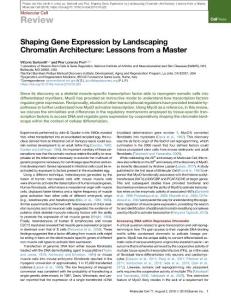 Shaping-Gene-Expression-by-Landscaping-Chromatin-Architectur_2018_Molecular-