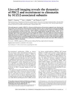 Genes Dev.-2018-Youmans-Live-cell imaging reveals the dynamics of PRC2 and recruitment to chromatin by SUZ12-associated subunits