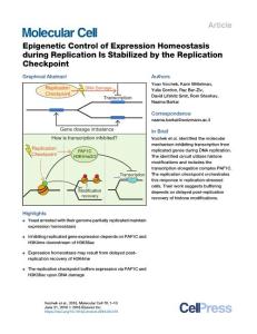 Epigenetic-Control-of-Expression-Homeostasis-during-Replicatio_2018_Molecula