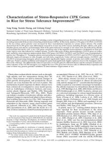 【OsCIPK03 OsCIPK12 OsCIPK15】Characterization of Stress-Responsive CIPK Genes in Rice for Stress Tolerance Improvement