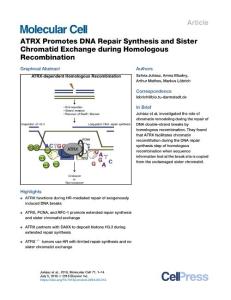 ATRX-Promotes-DNA-Repair-Synthesis-and-Sister-Chromatid-Exchan_2018_Molecula