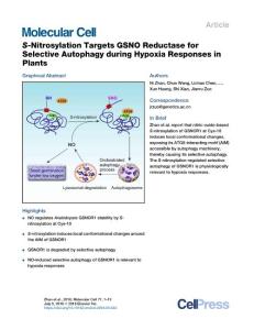 S-Nitrosylation-Targets-GSNO-Reductase-for-Selective-Autophagy_2018_Molecula