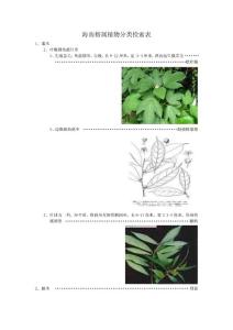 海南榕屬植物分類檢索表