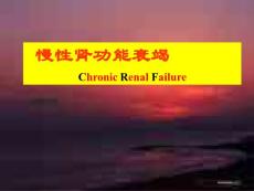 慢性肾功能衰竭PPT课件
