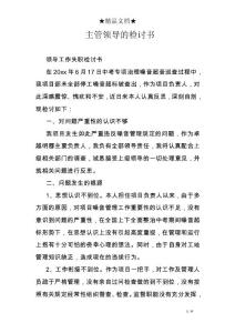 主管领导的检讨书