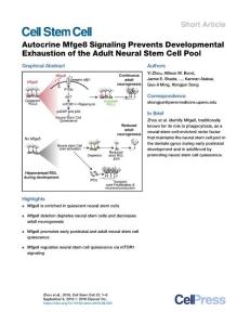 Autocrine-Mfge8-Signaling-Prevents-Developmental-Exhaustion-o_2018_Cell-Stem