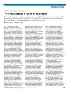 nn.2018-The mysterious origins of microglia