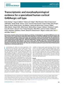 nn.2018-Transcriptomic and morphophysiological evidence for a specialized human cortical GABAergic cell type
