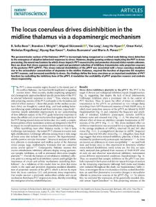 nn.2018-The locus coeruleus drives disinhibition in the midline thalamus via a dopaminergic mechanism