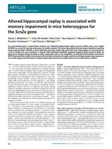 nn.2018-Altered hippocampal replay is associated with memory impairment in mice heterozygous for the Scn2a gene