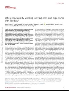 nbt.4201-Efficient proximity labeling in living cells and organisms with TurboID