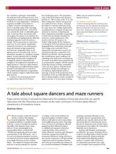 nmat.2018-A tale about square dancers and maze runners