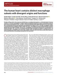 nm.2018-The human heart contains distinct macrophage subsets with divergent origins and functions