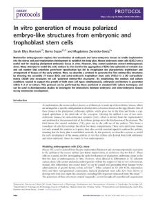 nprot.2018-In vitro generation of mouse polarized embryo-like structures from embryonic and trophoblast stem cells