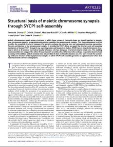 nsmb.2018-Structural basis of meiotic chromosome synapsis through SYCP1 self-assembly