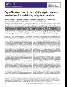 nsmb.2018-Cryo-EM structure of the αvβ8 integrin reveals a mechanism for stabilizing integrin extension