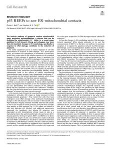 cr.2018-p53 REEPs to sow ER–mitochondrial contacts
