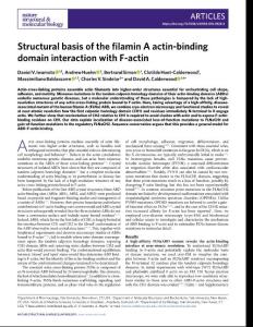 nsmb.2018-Structural basis of the filamin A actin-binding domain interaction with F-actin