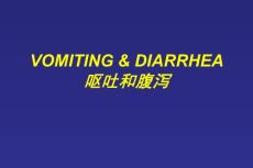 vomiting diarrhea呕吐和腹泻诊断学英文课件