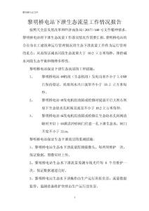 黎明桥电站生态水下泄流量情况报告