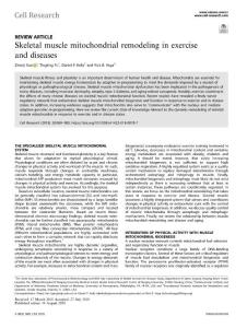 cr.2018-Skeletal muscle mitochondrial remodeling in exercise and diseases