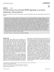 cr.2018-Tom20 senses iron-activated ROS signaling to promote melanoma cell pyroptosis