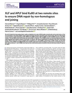 nsmb.2018-XLF and APLF bind Ku80 at two remote sites to ensure DNA repair by non-homologous end joining