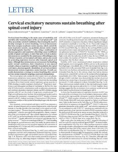 nature.2018-Cervical excitatory neurons sustain breathing after spinal cord injury