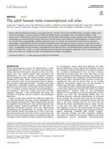cr.2018-The adult human testis transcriptional cell atlas