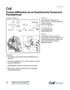 Protein-AMPylation-by-an-Evolutionarily-Conserved-Pseudokinase_2018_Cell