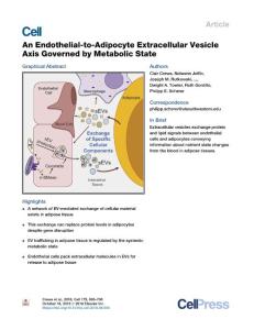 An-Endothelial-to-Adipocyte-Extracellular-Vesicle-Axis-Governed-by-_2018_Cel