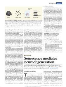 nature.2018-Elimination of senescent cells prevents neurodegeneration in mice