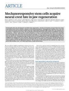 nature.2018-Mechanoresponsive stem cells acquire neural crest fate in jaw regeneration