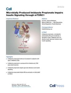 Microbially-Produced-Imidazole-Propionate-Impairs-Insulin-Signaling_2018_Cel
