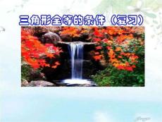 全等三角形電子教案.ppt