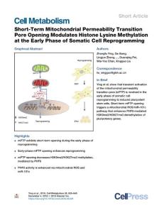 Short-Term-Mitochondrial-Permeability-Transition-Pore-Opening-Mo_2018_Cell-M