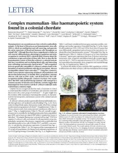 nature.2018-Complex mammalian-like haematopoietic system found in a colonial chordate