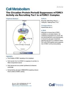 The-Circadian-Protein-Period2-Suppresses-mTORC1-Activity-via-_2018_Cell-Meta