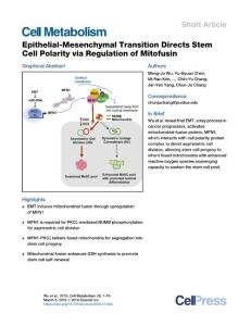 Epithelial-Mesenchymal-Transition-Directs-Stem-Cell-Polarity_2018_Cell-Metab