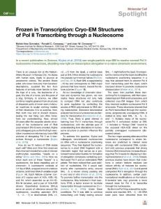 Frozen-in-Transcription--Cryo-EM-Structures-of-Pol-II-Transcr_2018_Molecular