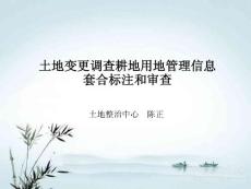 4、2018年度全國土地變更調查耕地用地管理信息套合標注和審查1206
