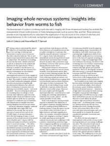nmeth.2018-Imaging whole nervous systems- insights into behavior from worms to fish