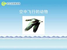 空中飛行的動物